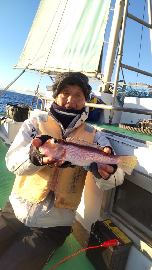 アマダイ(アカアマダイ)