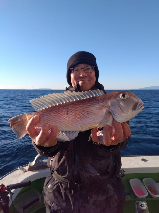 アマダイ(アカアマダイ)