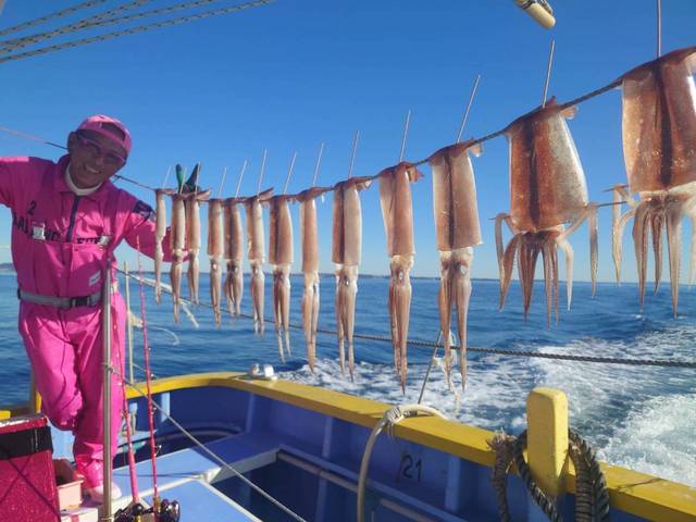 スルメ(スルメイカ)