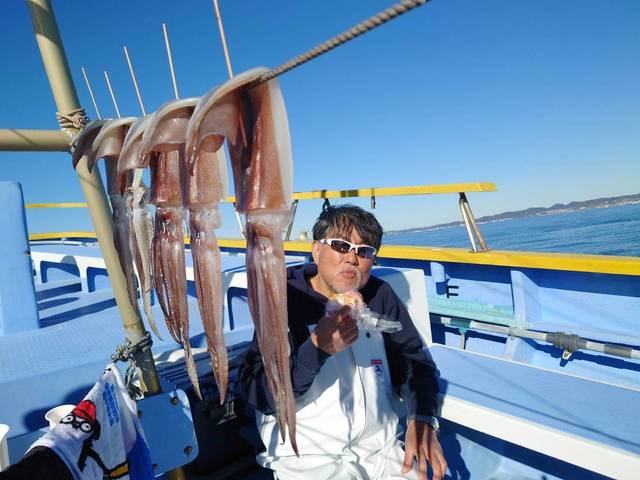 スルメ(スルメイカ)