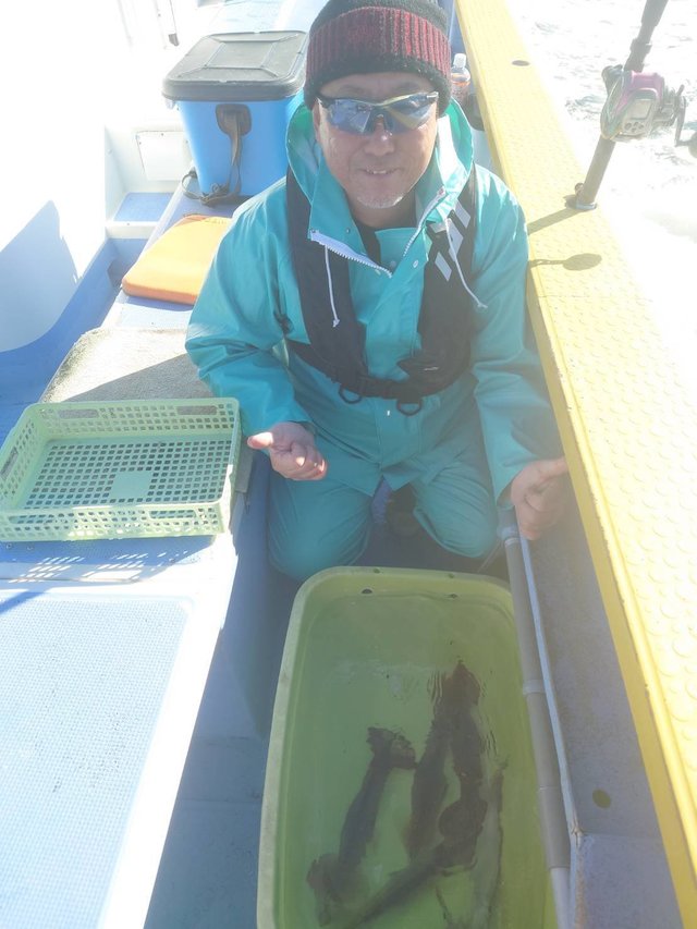 スルメ(スルメイカ)