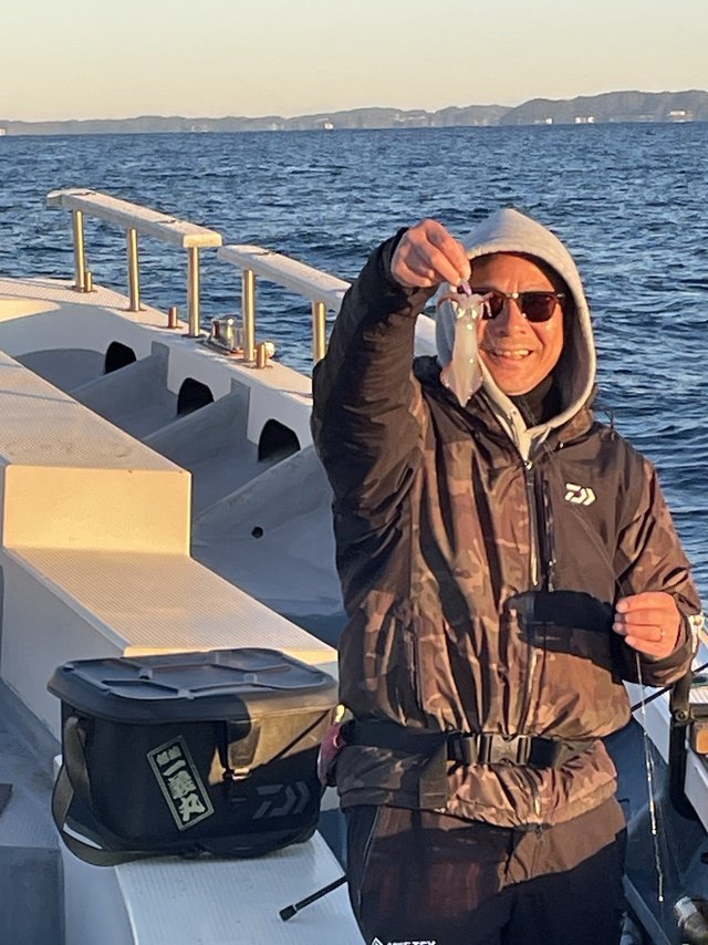 マルイカ(ケンサキイカ)