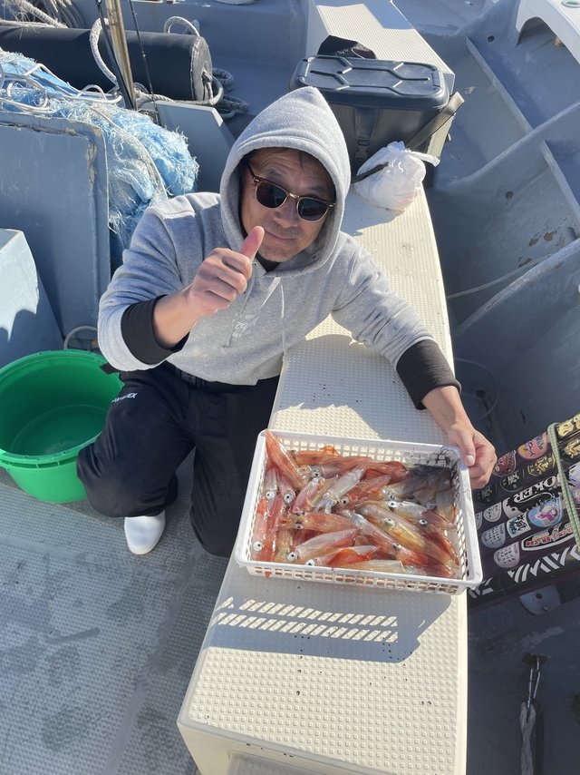 マルイカ(ケンサキイカ)