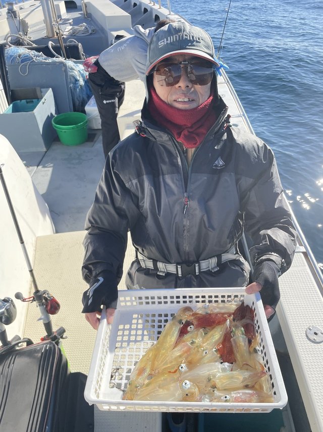 マルイカ(ケンサキイカ)