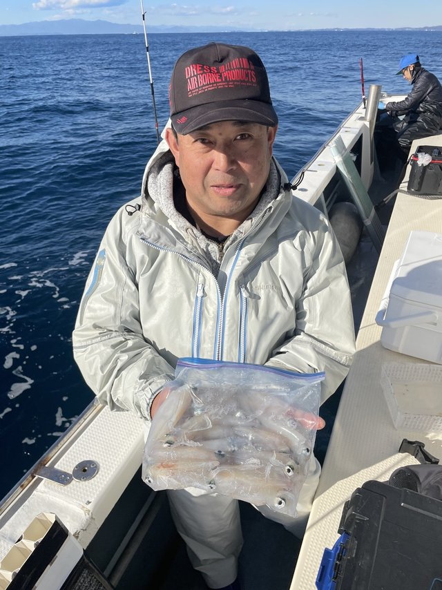 マルイカ(ケンサキイカ)