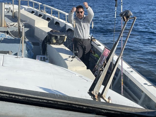 マルイカ(ケンサキイカ)