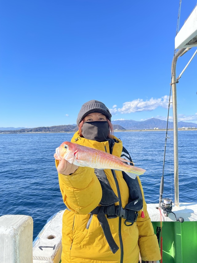 アマダイ(アカアマダイ)