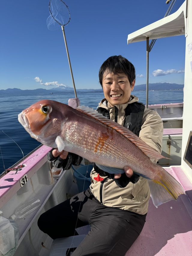 アマダイ(アカアマダイ)