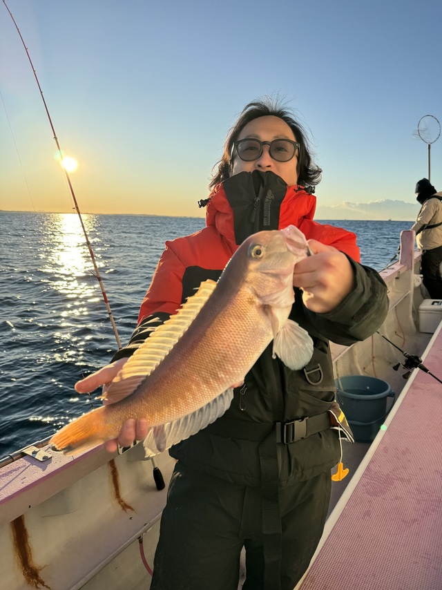 アマダイ(アカアマダイ)