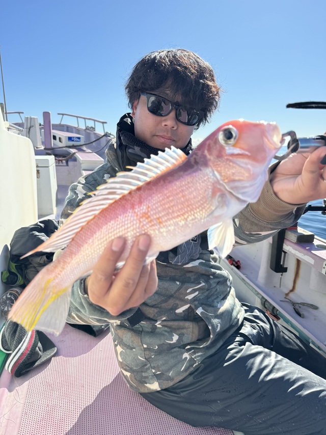 アマダイ(アカアマダイ)