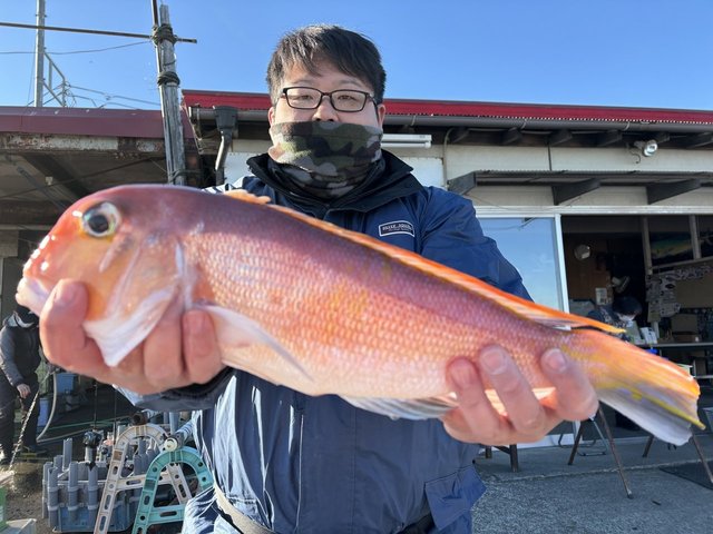 アマダイ(アカアマダイ)