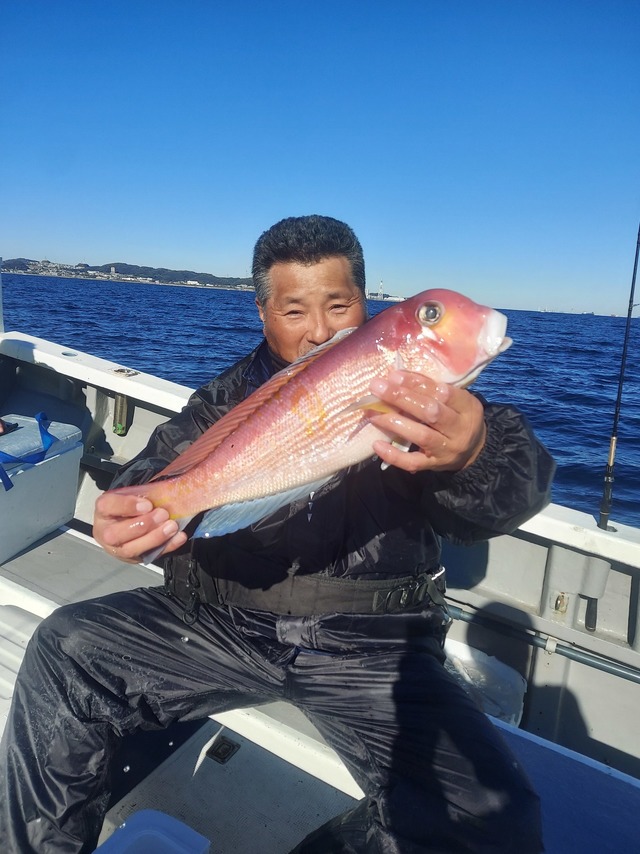 アマダイ(アカアマダイ)