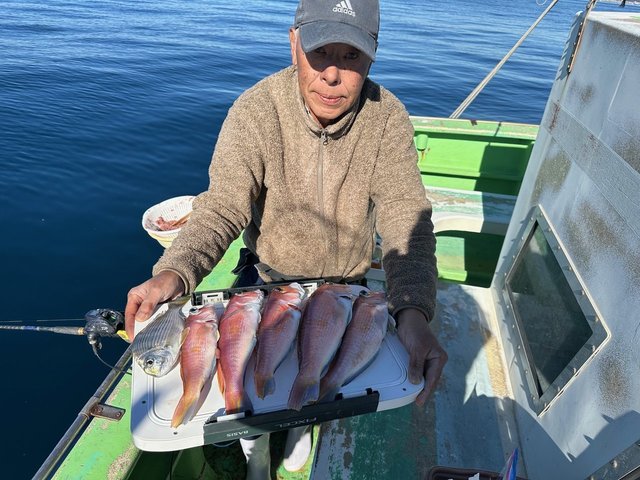 アマダイ(アカアマダイ)