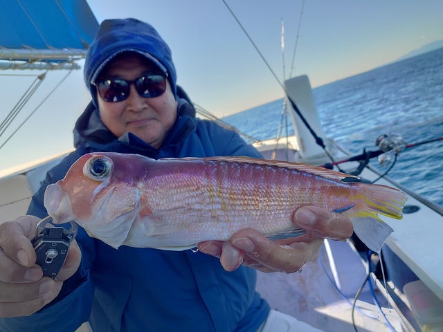 アマダイ(アカアマダイ)