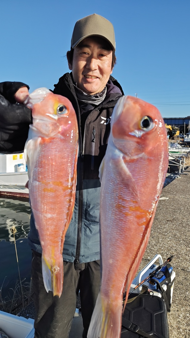 アマダイ(アカアマダイ)