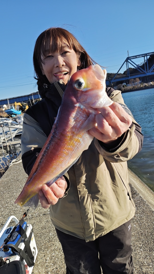 アマダイ(アカアマダイ)