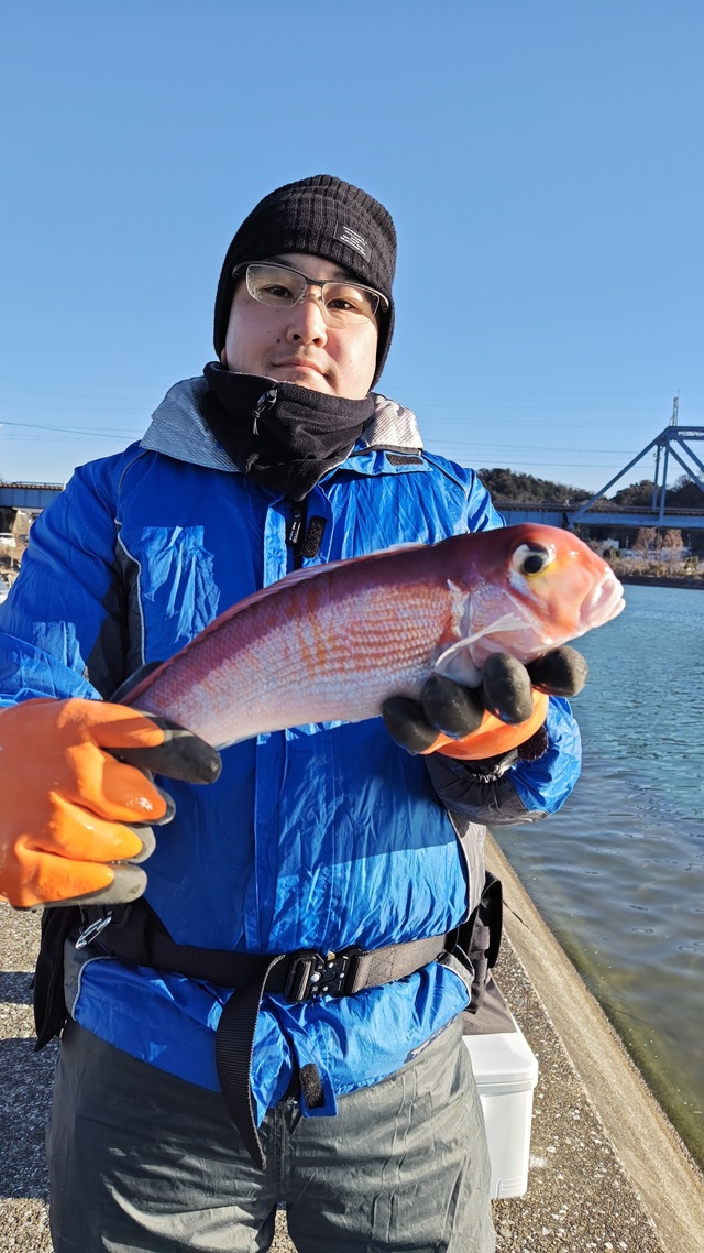 アマダイ(アカアマダイ)