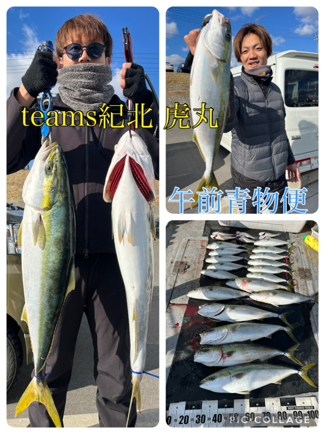 ブリ・ハマチ(ブリ)・メジロ(ブリ)・クログチ