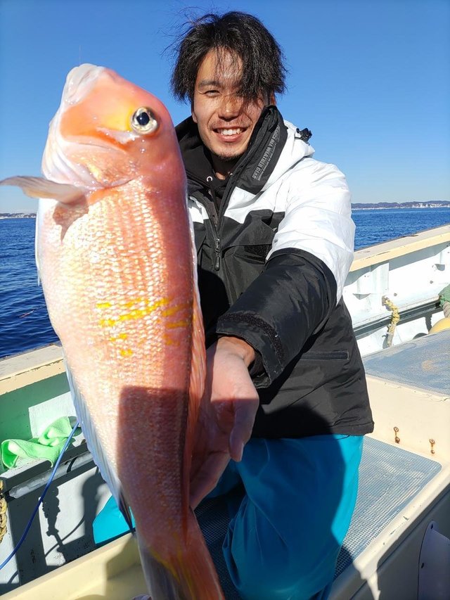 アマダイ(アカアマダイ)