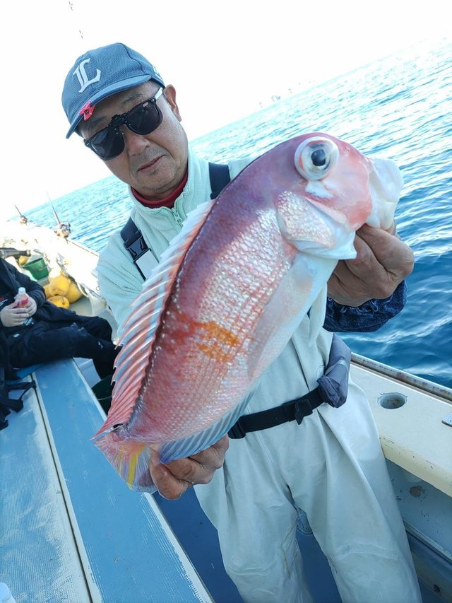 アマダイ(アカアマダイ)