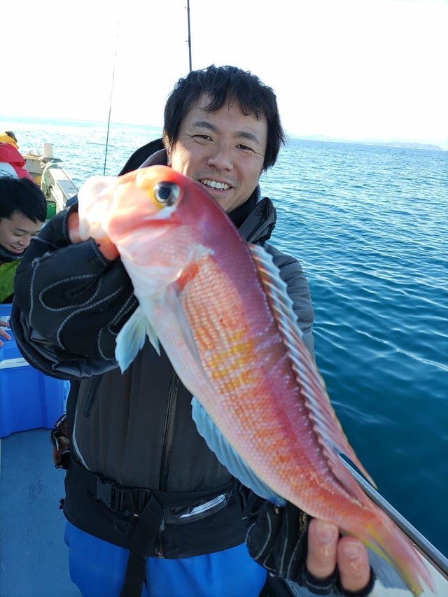 アマダイ(アカアマダイ)