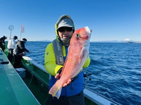 アマダイ(アカアマダイ)