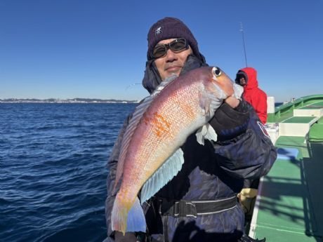 アマダイ(アカアマダイ)