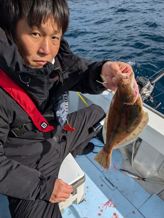 カレイ(マコガレイ)