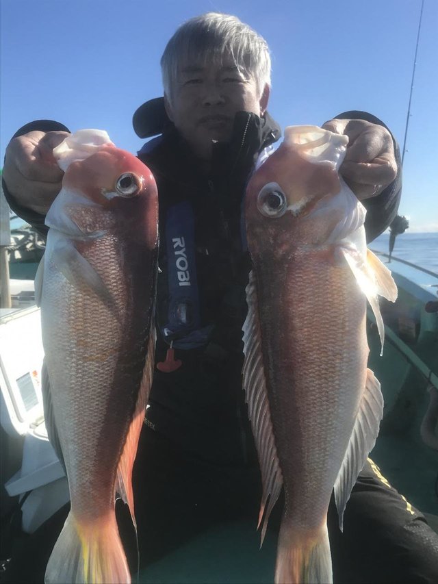 アマダイ(アカアマダイ)