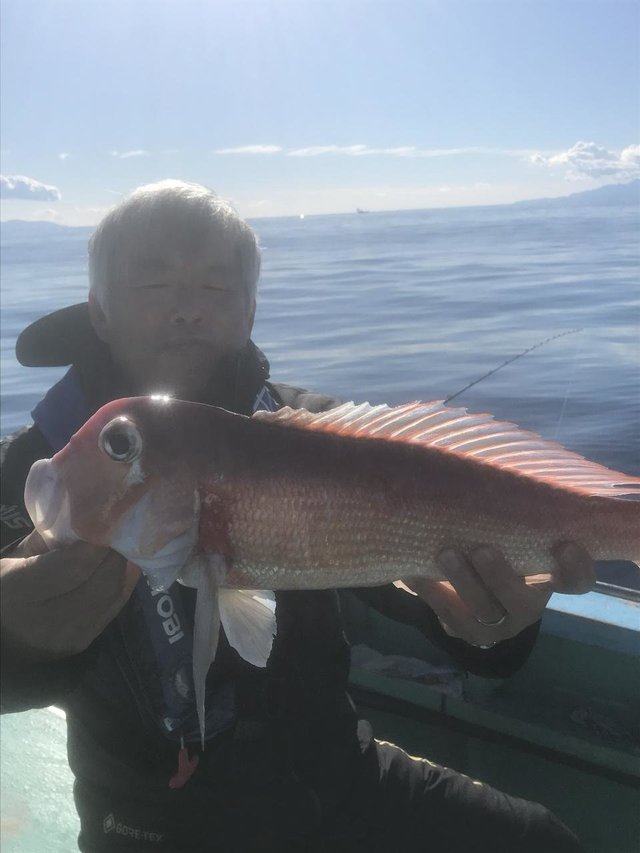 アマダイ(アカアマダイ)