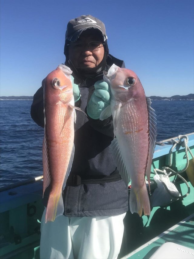 アマダイ(アカアマダイ)