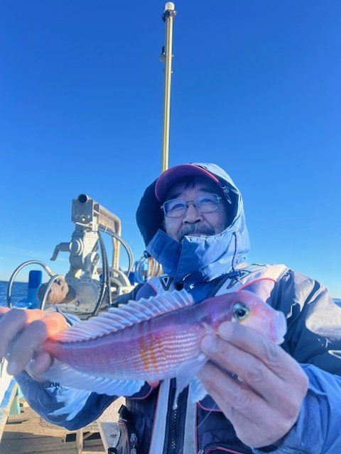 アマダイ(アカアマダイ)