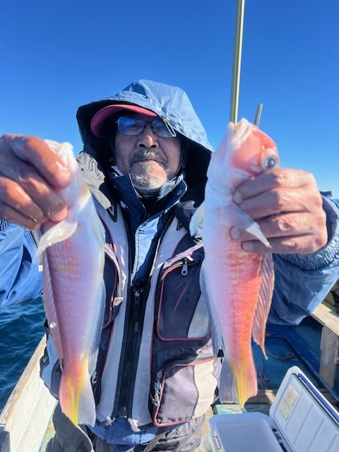 アマダイ(アカアマダイ)