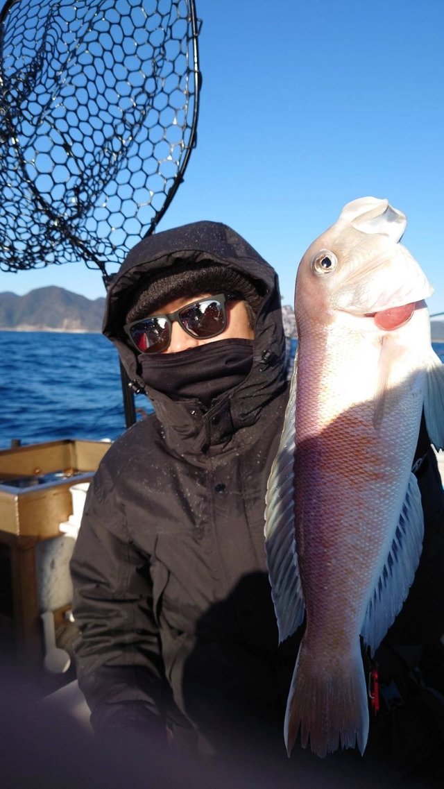 アマダイ(アカアマダイ)