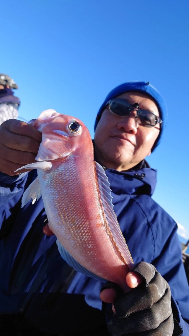 アマダイ(アカアマダイ)