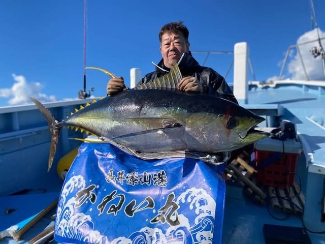 キハダマグロ(キハダ)