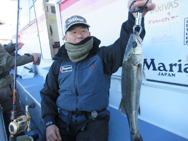 シーバス(スズキ)