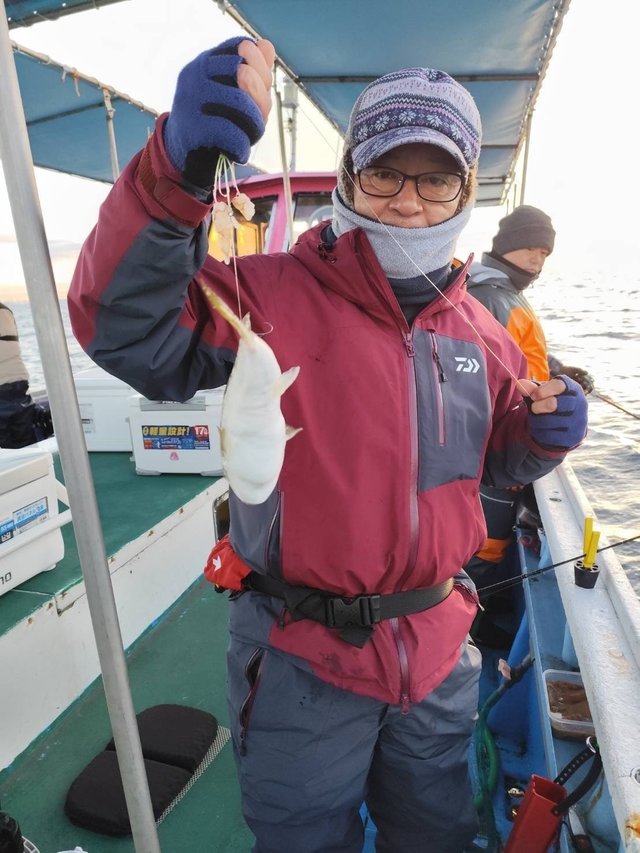 フグ(ショウサイフグ)