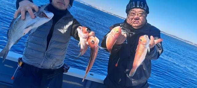 レンコダイ(キダイ)・カナガシラ・ヒメコタイ(ヒメコダイ)