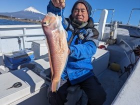 アマダイ(アカアマダイ)