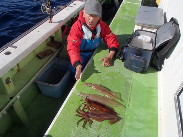 ヤリイカ・スルメイカ