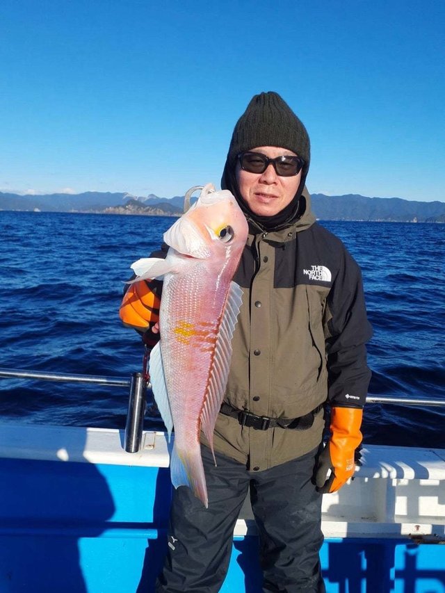 アマダイ(アカアマダイ)