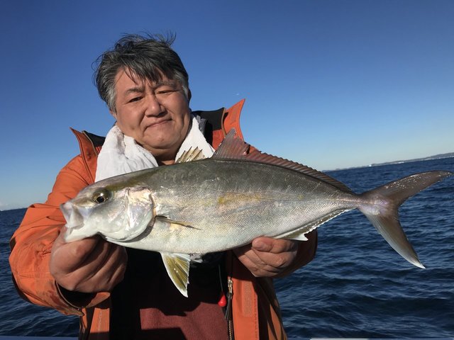 ショゴ(カンパチ)