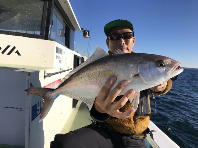 ショゴ(カンパチ)