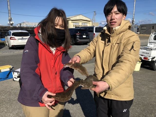 ヒラメ・ガンゾウビラメ