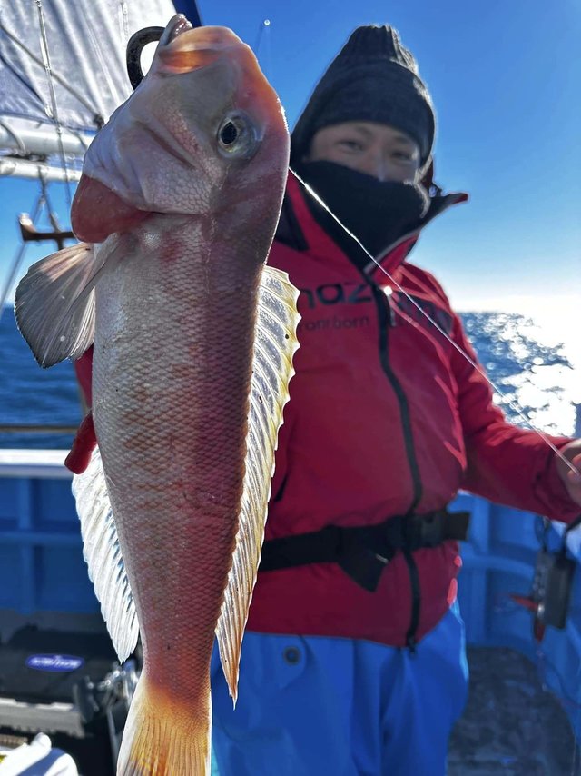 アマダイ(アカアマダイ)
