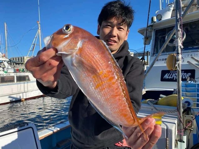 アマダイ(アカアマダイ)