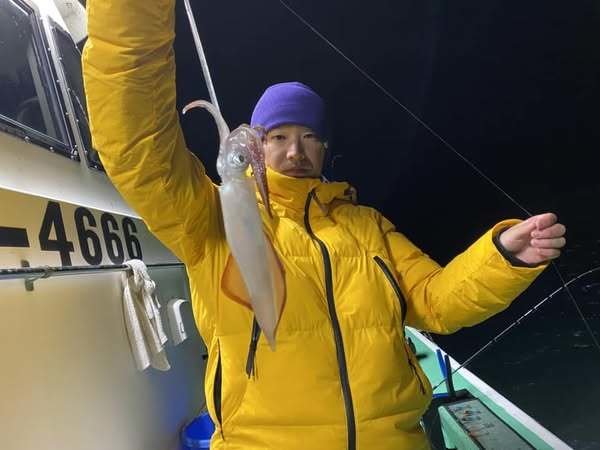 マルイカ(ケンサキイカ)