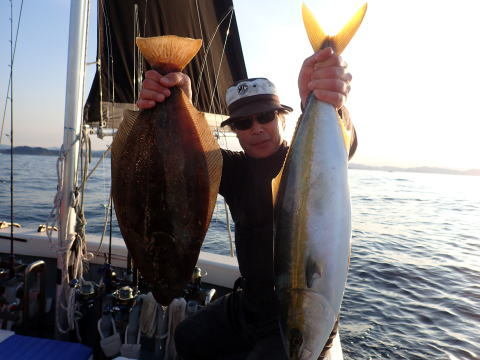 メジロ(ブリ)・ヒラメ