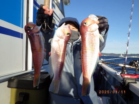 アマダイ(アカアマダイ)